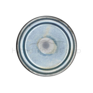 Filtre A Carburant Premium Guard - Image 3